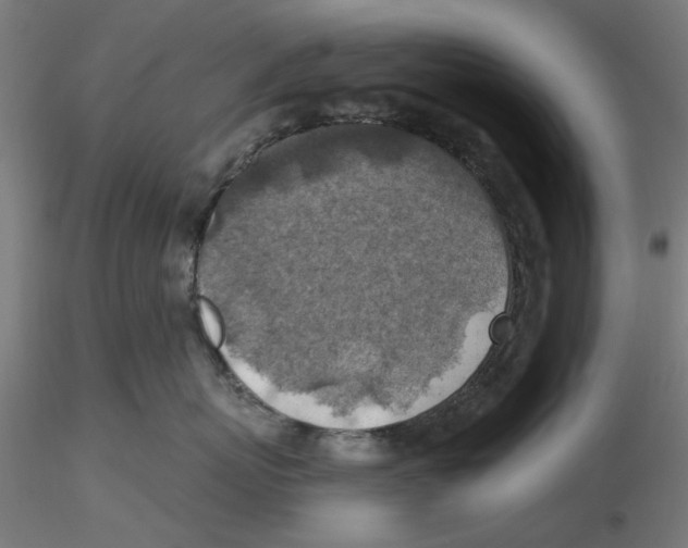 X0000116490767201001061141