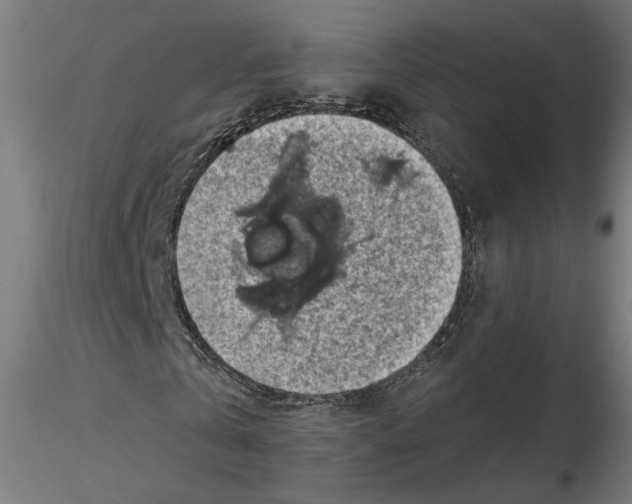 X0000116490769201001061140