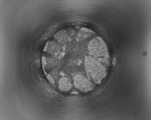 X0000116490771201001061140