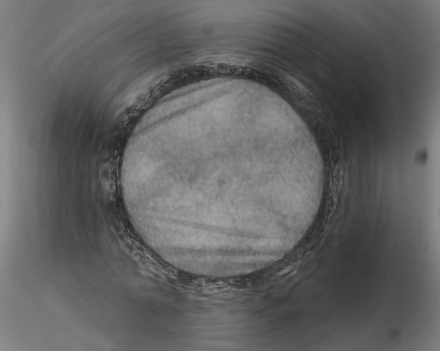 X0000116490774201001061140