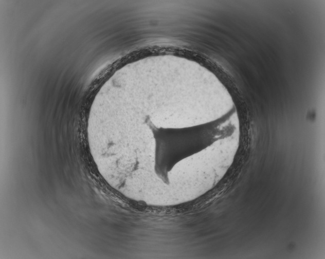 X0000116490775201001061140