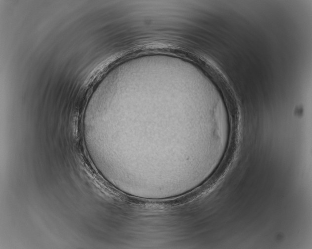 X0000116490777201001061140