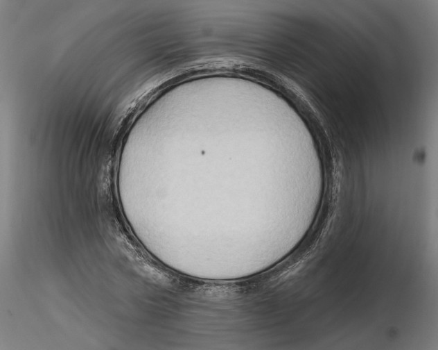 X0000116490778201001061140