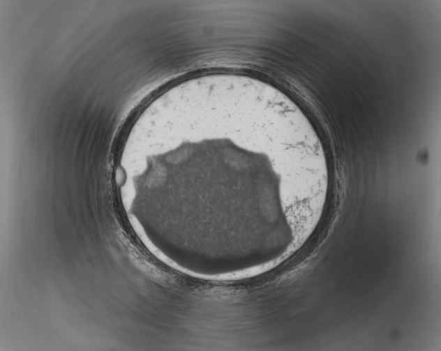 X0000116490779201001061140