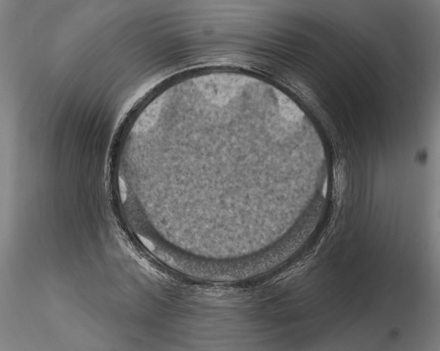 X0000116490780201001061140