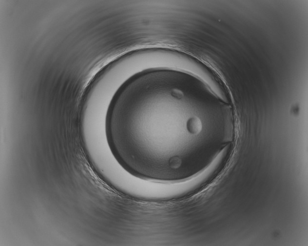 X0000116490781201001061140