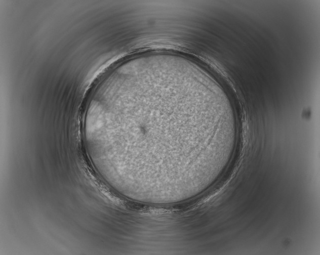 X0000116490782201001061140