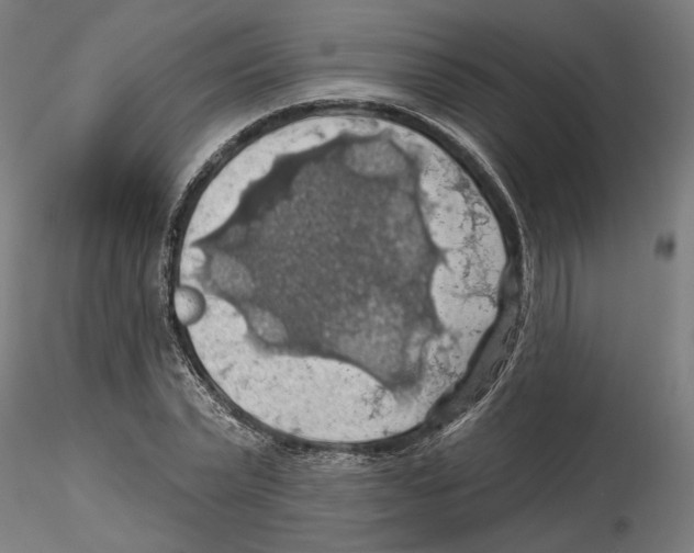 X0000116490783201001061140