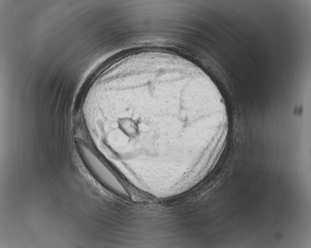 X0000116490784201001061140