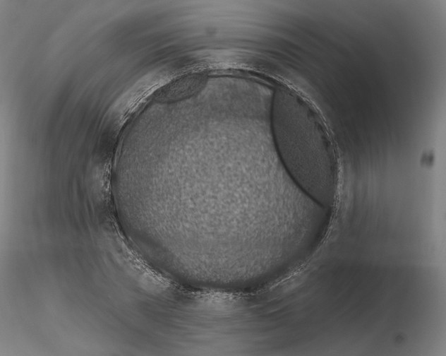 X0000116490785201001061140