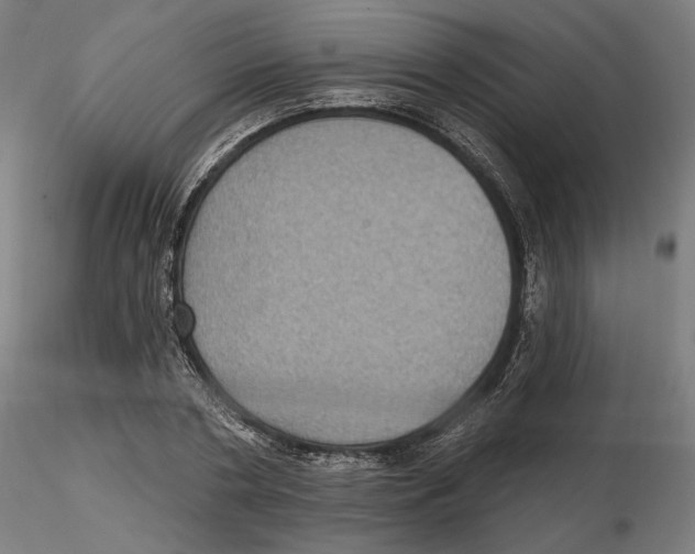 X0000116490786201001061140