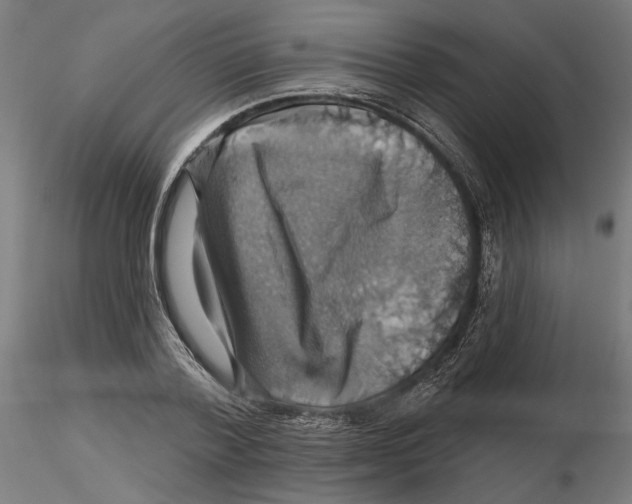 X0000116490788201001061140