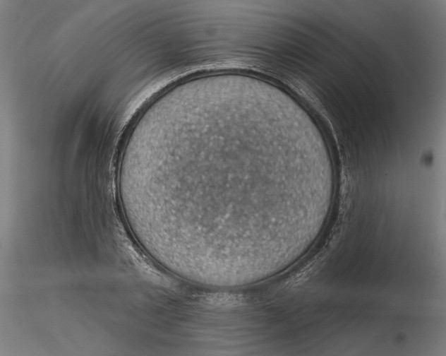 X0000116490789201001061140