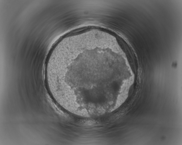 X0000116490791201001061140