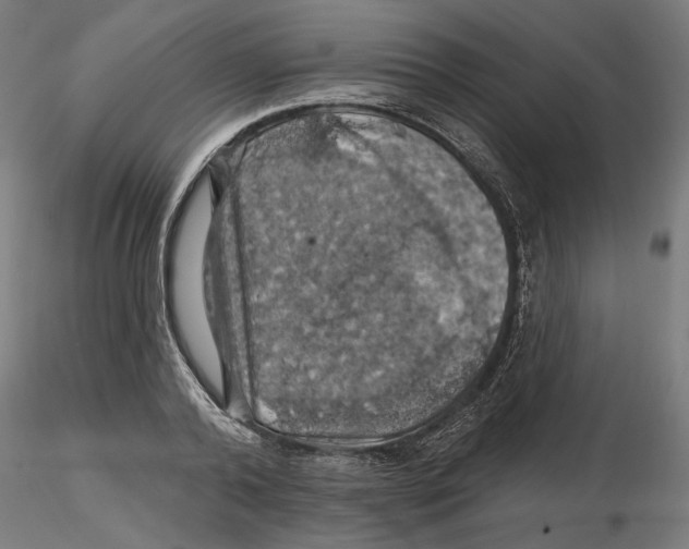 X0000116490792201001061140