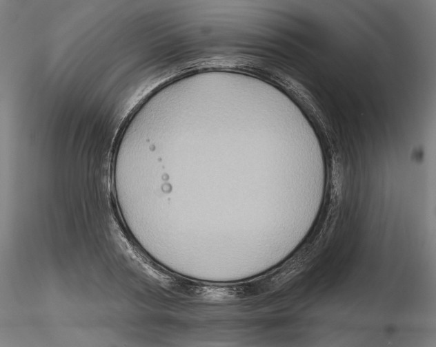 X0000116490794201001061140