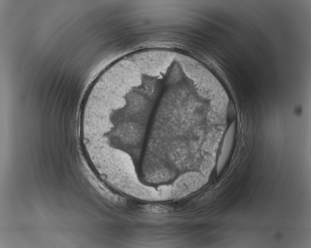 X0000116490795201001061140