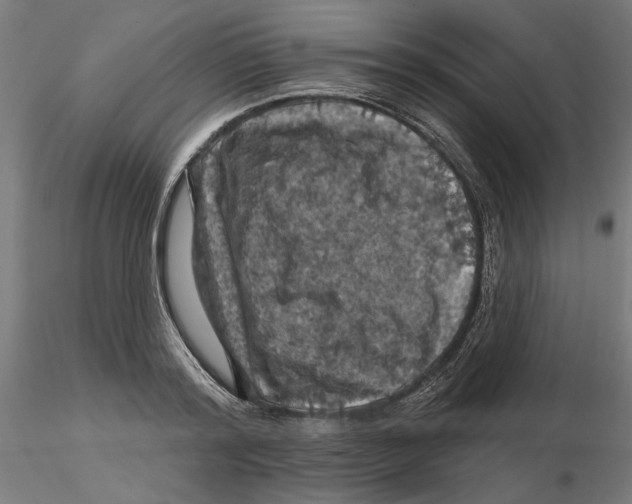 X0000116490796201001061140