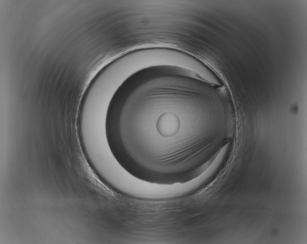 X0000116490797201001061140