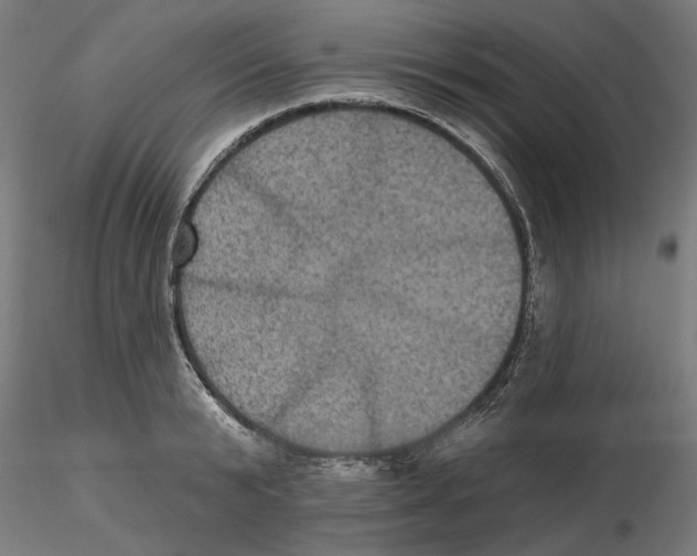 X0000116490799201001061140