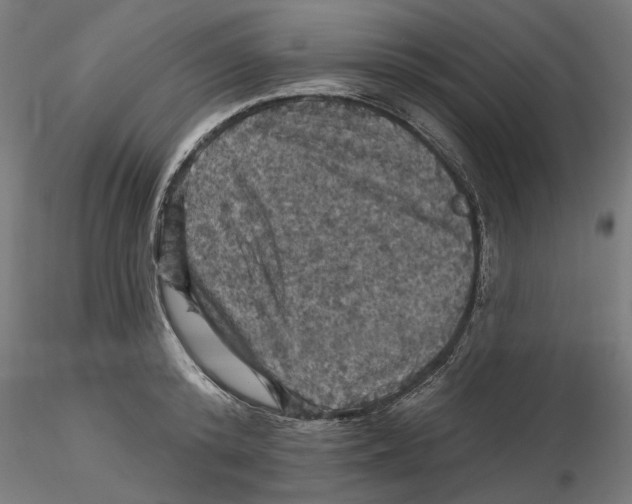 X0000116490800201001061140