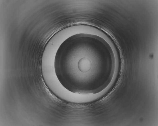 X0000116490801201001061140