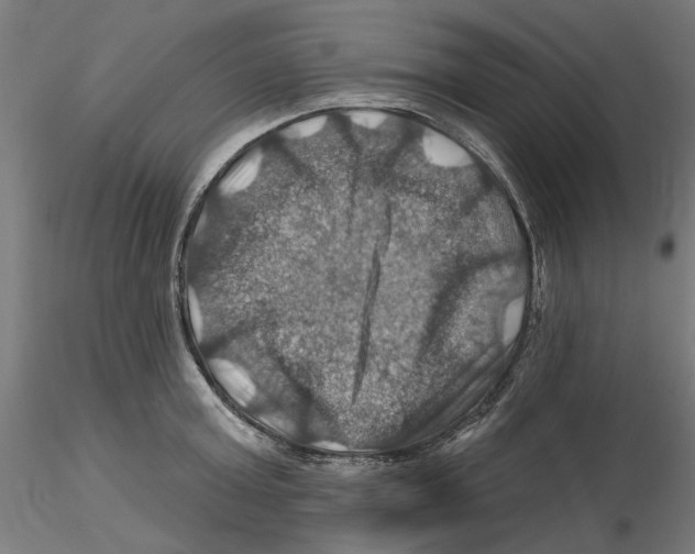 X0000116490803201001061140