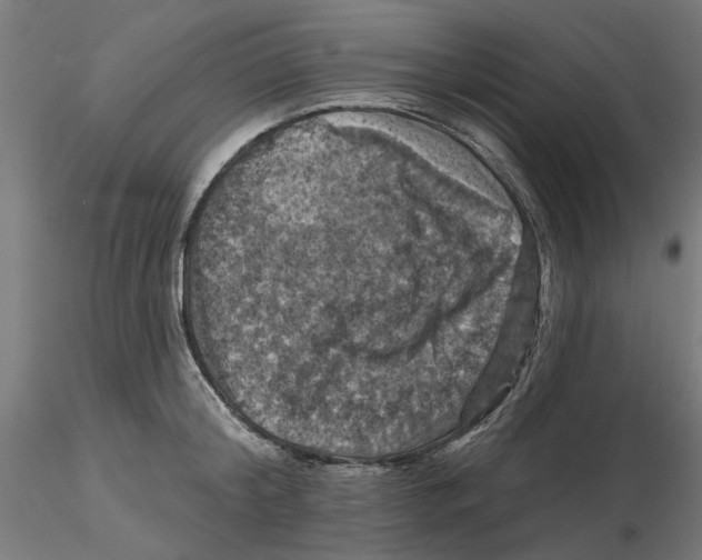 X0000116490804201001061140