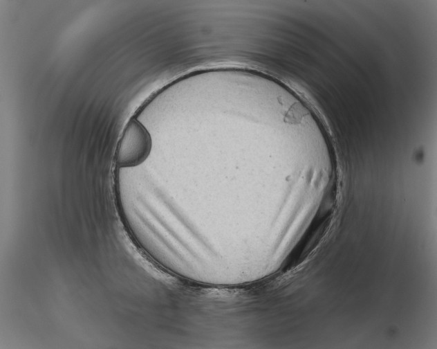 X0000116490805201001061140