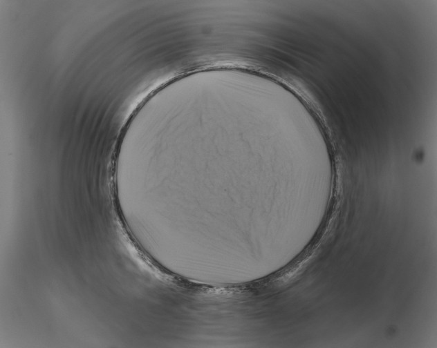 X0000116490806201001061140