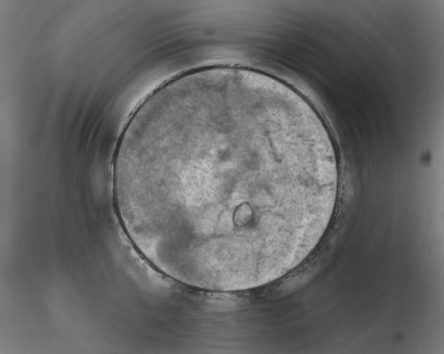 X0000116490807201001061140