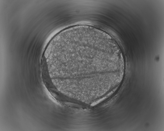 X0000116490808201001061140