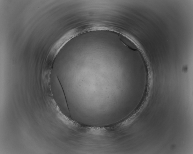 X0000116490809201001061140