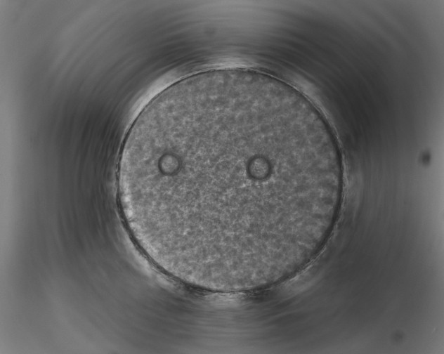 X0000116490810201001061140