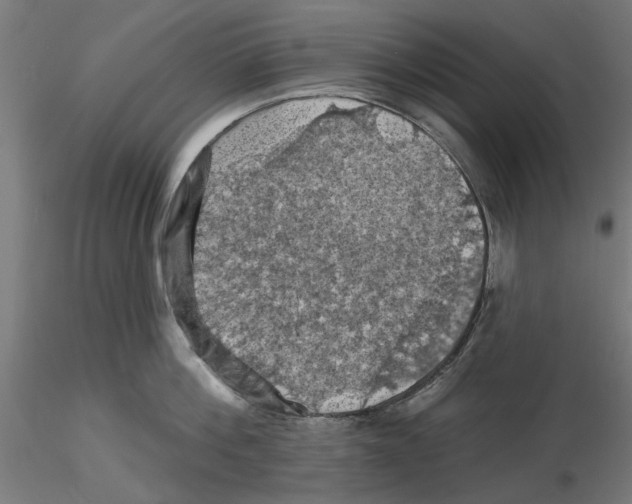 X0000116490812201001061140