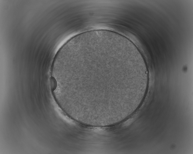 X0000116490814201001061140