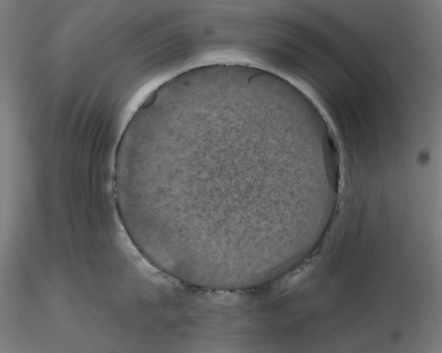 X0000116490815201001061140