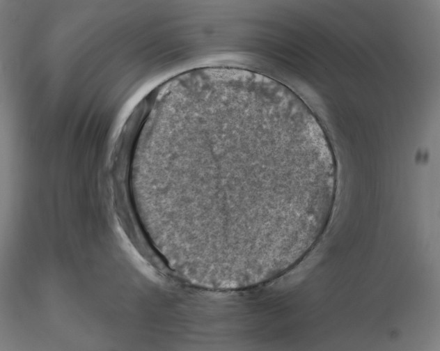 X0000116490816201001061140