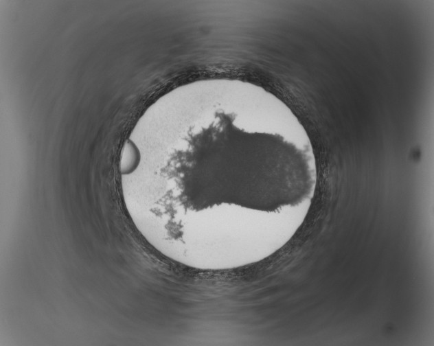 X0000116490817201001061139