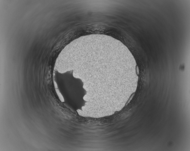 X0000116490818201001061139