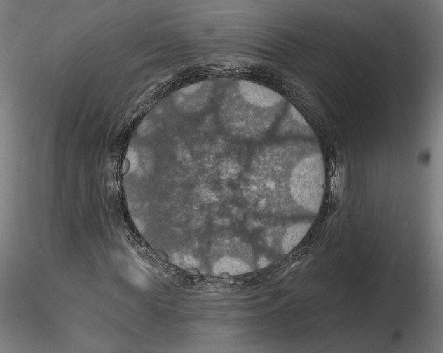 X0000116490819201001061139