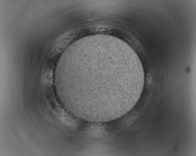 X0000116490820201001061139