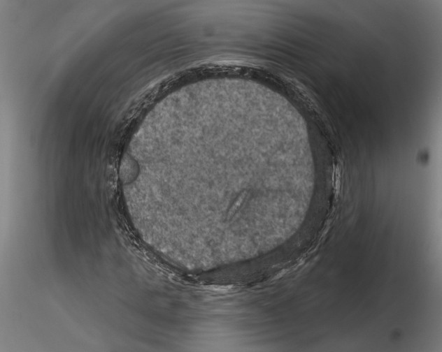 X0000116490821201001061139