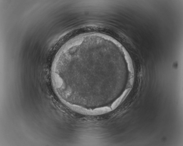 X0000116490822201001061139