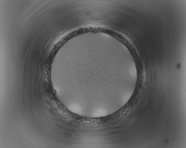 X0000116490823201001061139