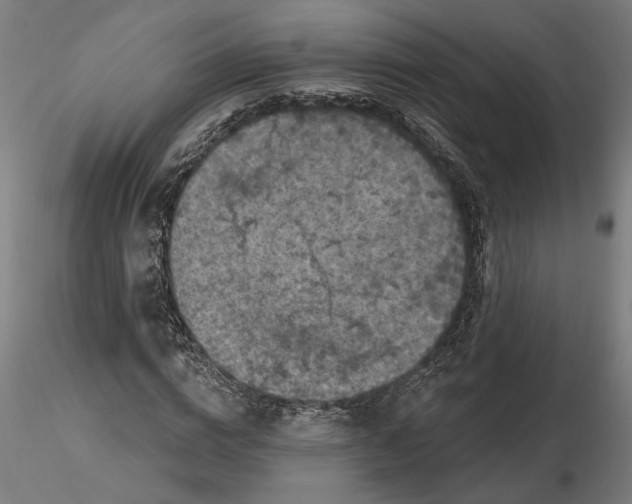 X0000116490824201001061139