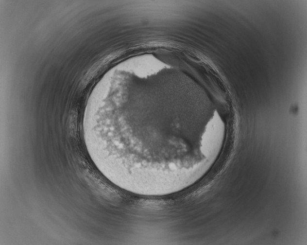 X0000116490825201001061139