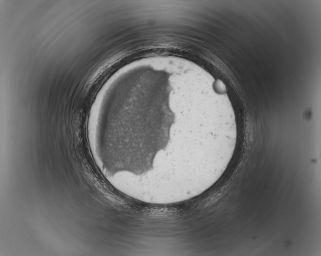 X0000116490826201001061139