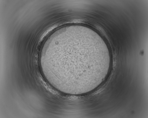 X0000116490827201001061139