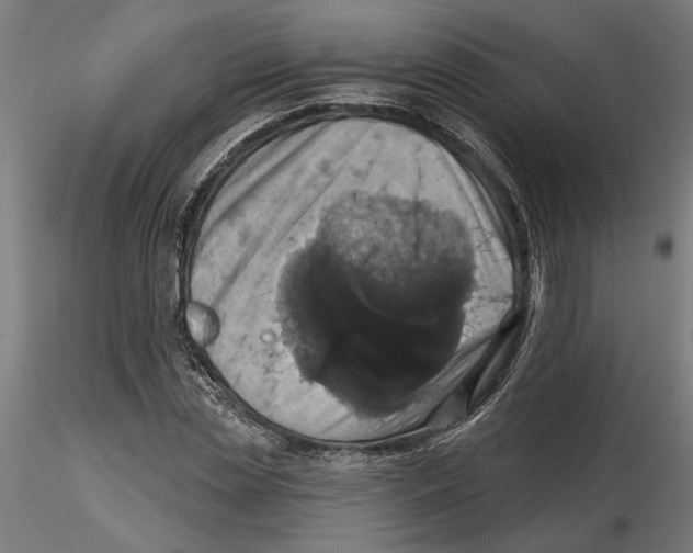 X0000116490829201001061139